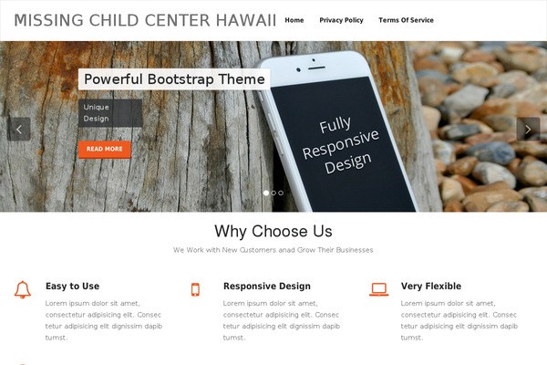 Appointment theme site design template sample