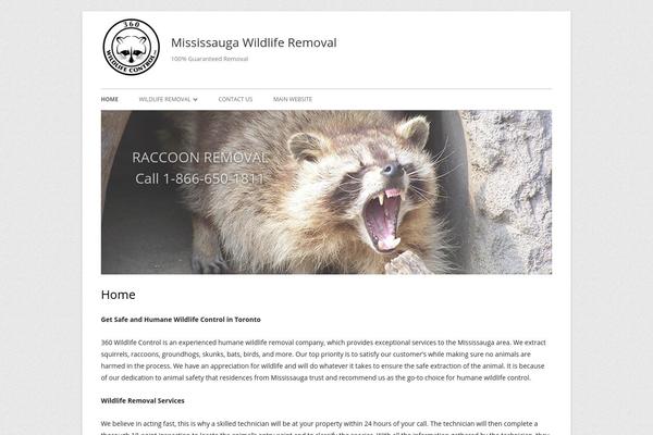 Tiny Framework theme site design template sample