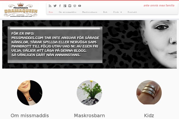 Customizr theme site design template sample