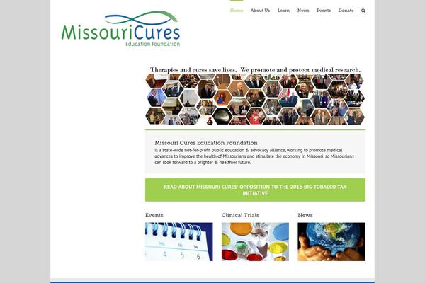 Avada theme site design template sample