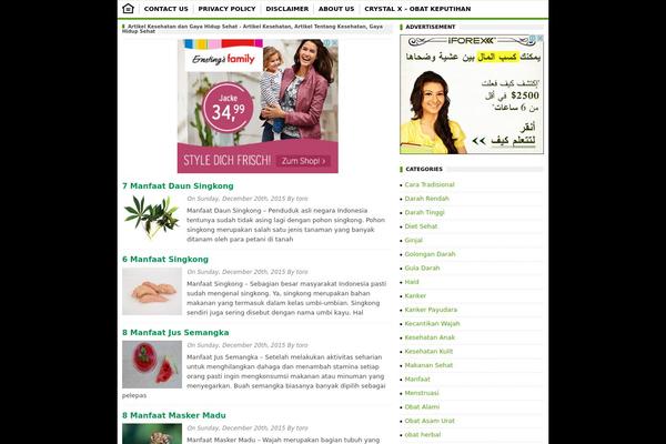 imamseo theme websites examples