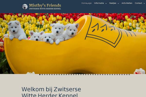 Avada Child Theme theme site design template sample