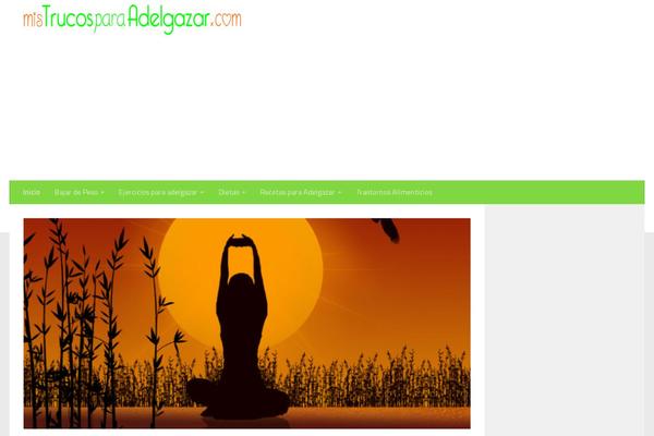 Being Hueman theme site design template sample
