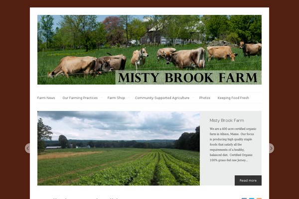 Ashe theme site design template sample