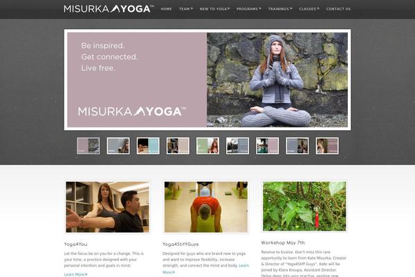 Site using Emailbuddy plugin