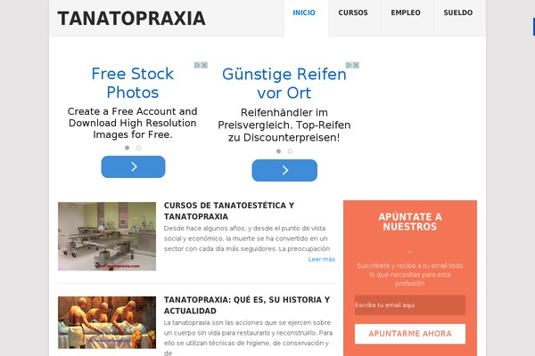 Point theme site design template sample