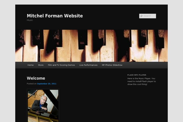 Site using Flash MP3 Player plugin