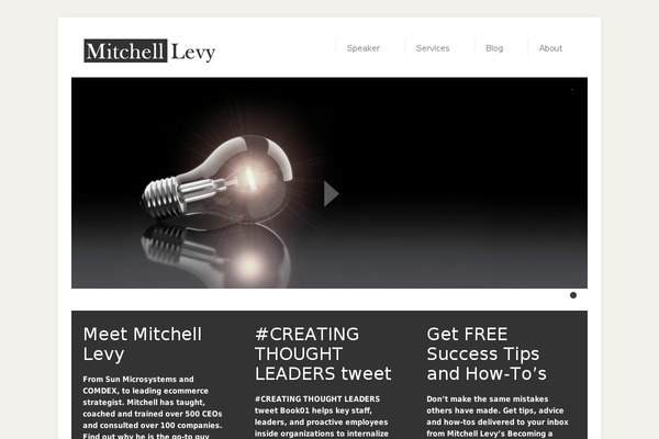 mitchelllevy.com site used Mentor