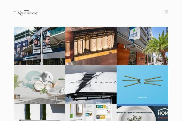 Site using WP Social Networks Widget plugin