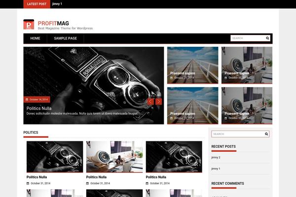 ProfitMag theme site design template sample