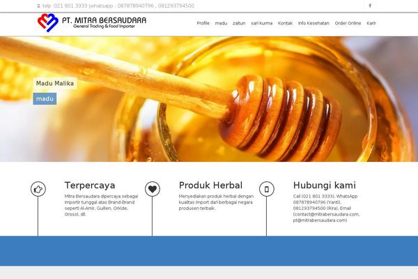 Site using WP SVG Icons plugin