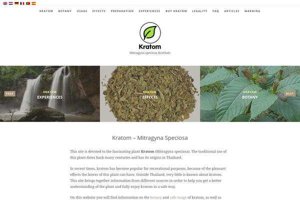 Editor-wp theme site design template sample