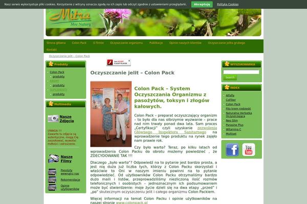 Szablon theme site design template sample