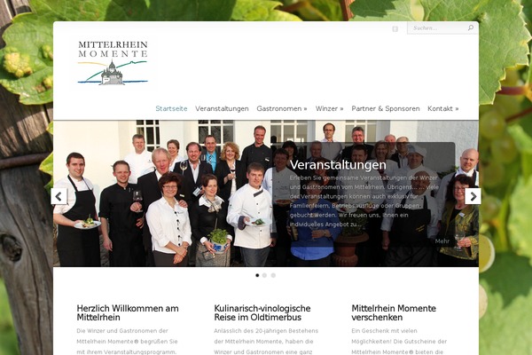 Chameleon theme site design template sample