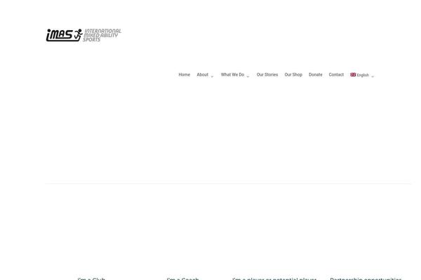 Site using WooCommerce Multilingual - run WooCommerce with WPML plugin