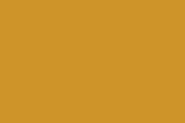 Site using Instashow-lite plugin