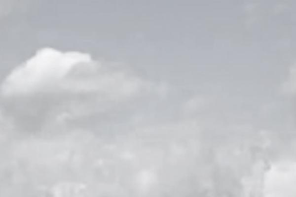 Site using Autoptimize plugin