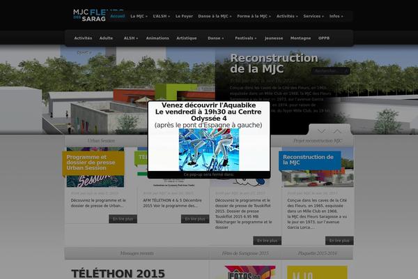 Site using Blue Wrench Video Widget plugin
