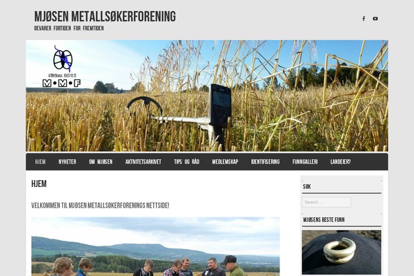 Striker theme site design template sample