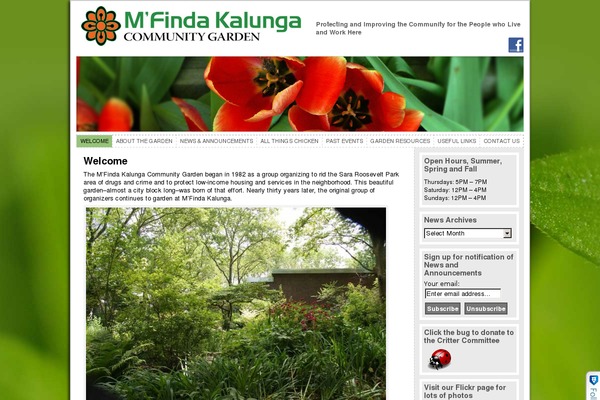 Site using Captcha by BestWebSoft plugin