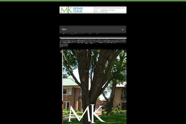 Site using Advanced-widget-pack plugin