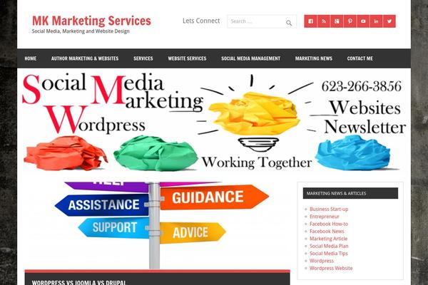 Dynamic News Lite theme site design template sample