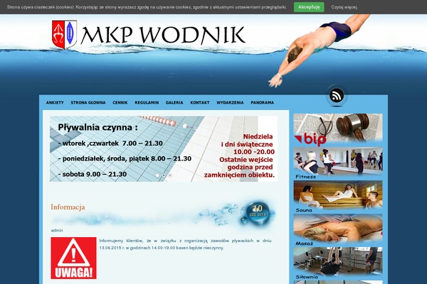Aqua-blue theme site design template sample
