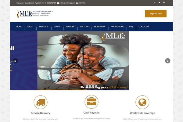 Cargo-pifour theme site design template sample