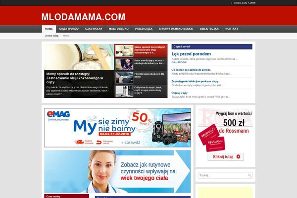 Local News theme site design template sample