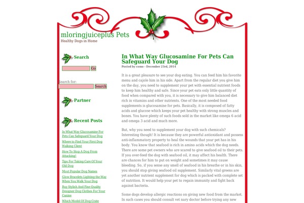 Christmas-1 theme site design template sample