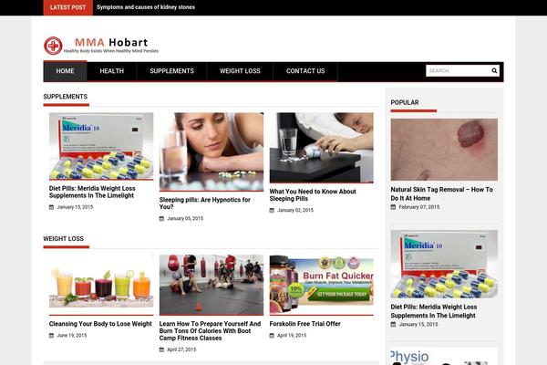 ProfitMag theme site design template sample