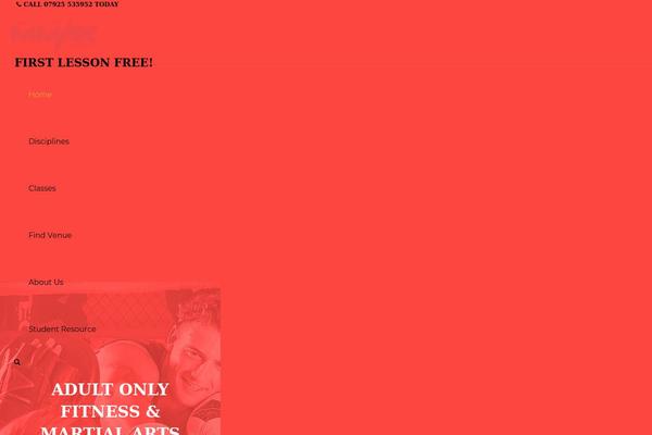 Site using SiteOrigin Widgets by CodeLights plugin