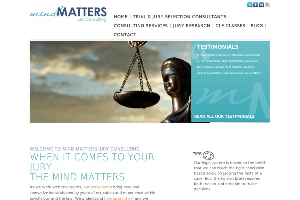 mmjury.com site used Bluestudio5