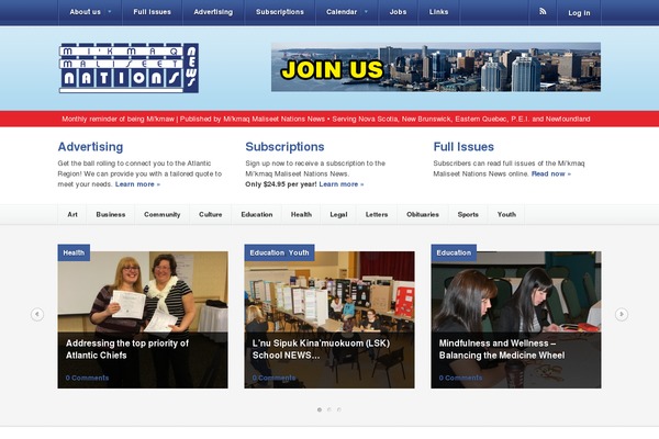 Pulse theme site design template sample