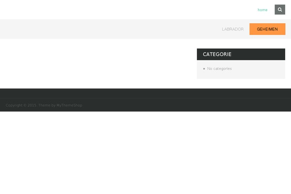 SteadyIncome theme site design template sample