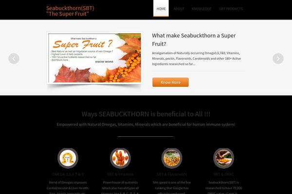 Traffica theme site design template sample