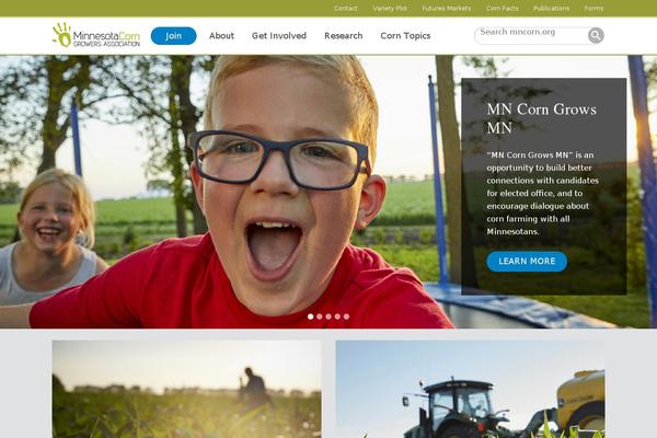 Minnesota theme site design template sample