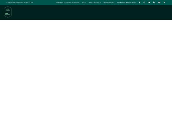 Basel theme site design template sample