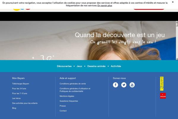 Bam-pro theme site design template sample