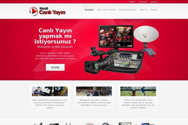 wColor theme site design template sample