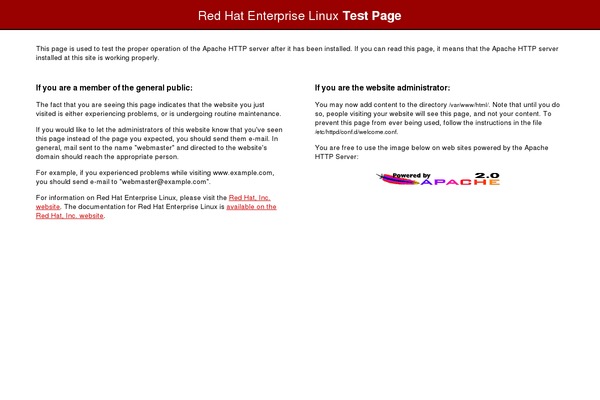 Yoko theme site design template sample