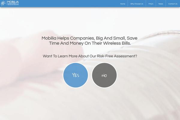 Blankslate Child theme site design template sample