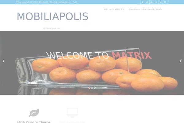 matrix theme site design template sample