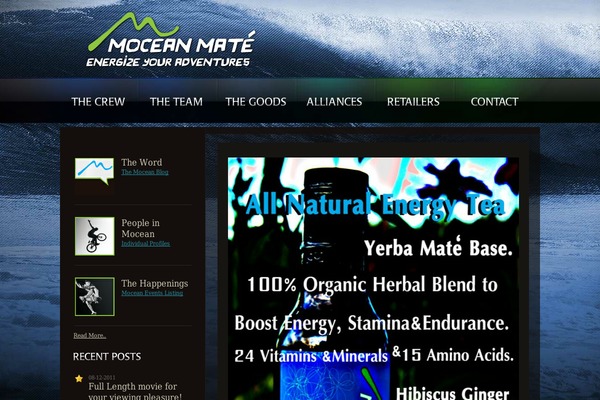 coulorex theme websites examples