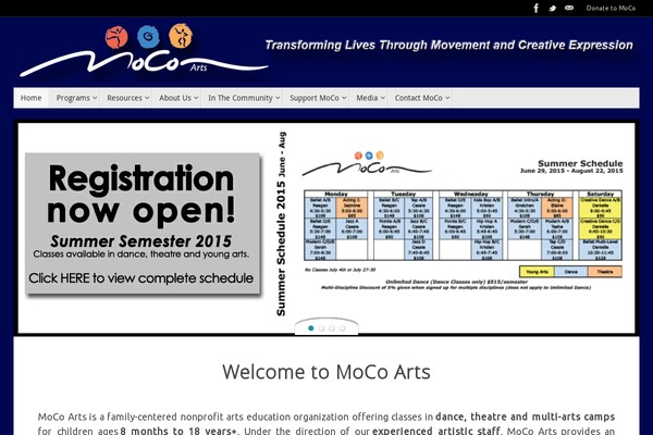 Site using Constant Contact for WordPress plugin