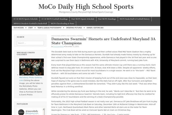 Magazine Basic theme site design template sample
