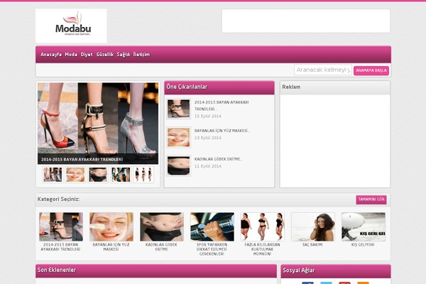 Echo theme site design template sample