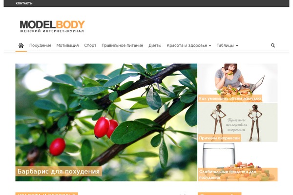 Site using Advanced-widget-pack plugin
