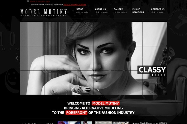 Site using Add Link to Facebook plugin