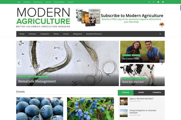 NEUE theme site design template sample